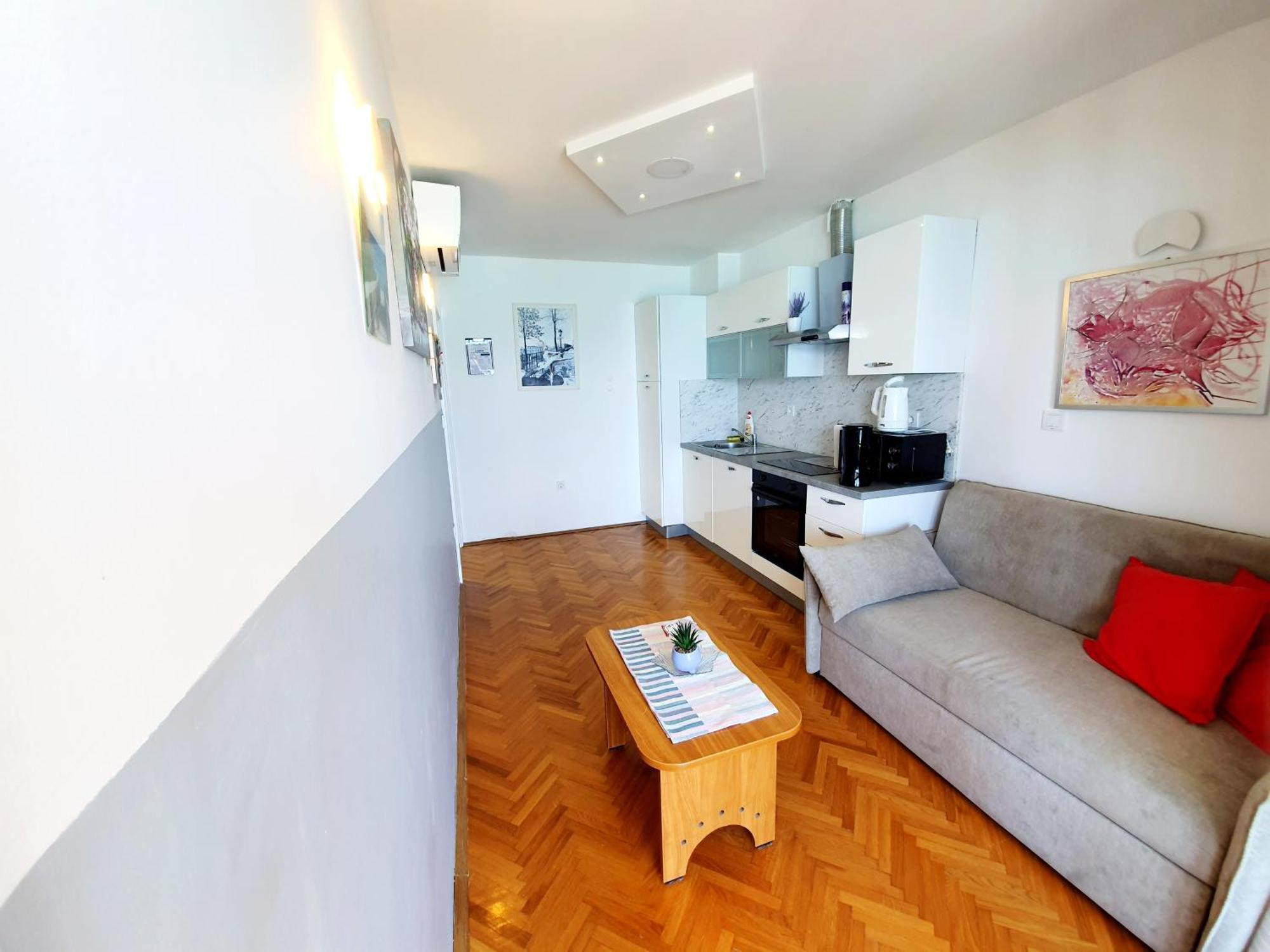 Apartment Anton *